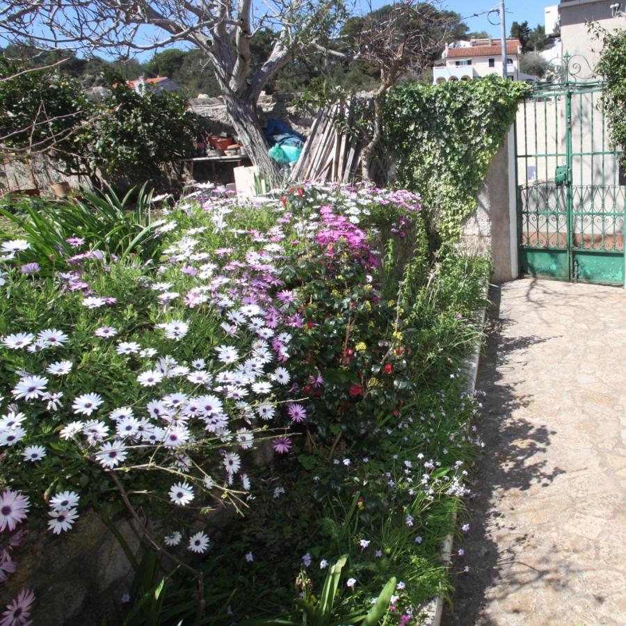 Apartments Anita Veli Lošinj المظهر الخارجي الصورة