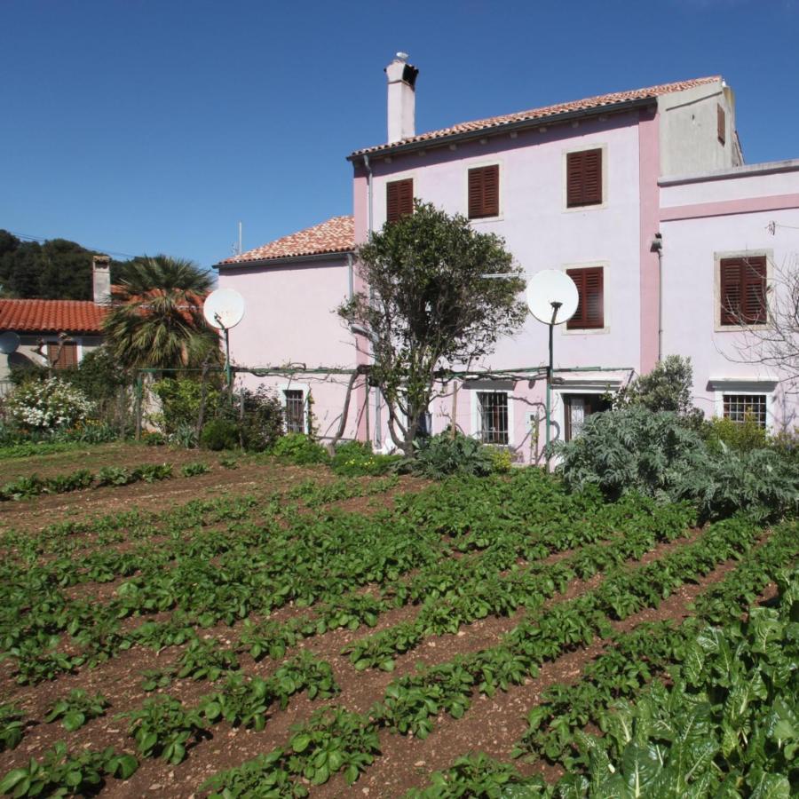 Apartments Anita Veli Lošinj المظهر الخارجي الصورة